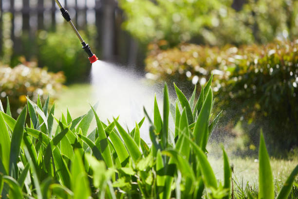 24/7 Emergency Mosquito Control experts in Merritt Island, FL