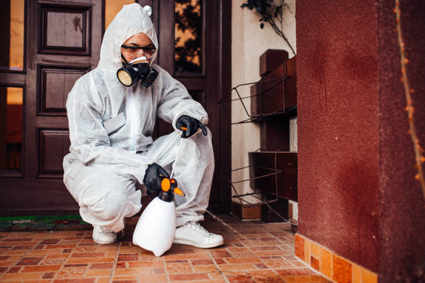 Reliable Mosquito Control contractor in Merritt Island, FL by Show Me Pest Control